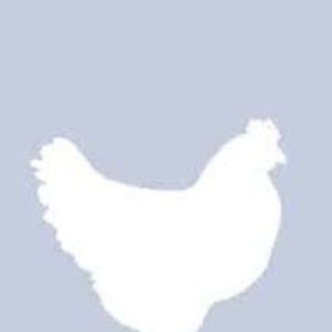 Meet your Posher, Fernando